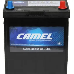 Camel B19L