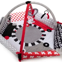 Canpol Babies Sensory Toys (68/077)