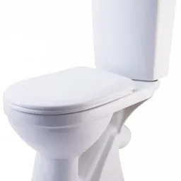 Vas WC Rosa Comfort Lux 45