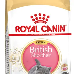 Royal Canin Kitten Shorthair
