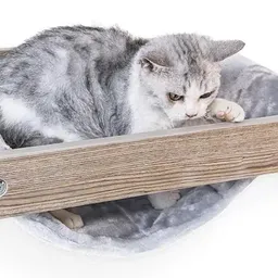 Petrebels Cat Shelves Lazy 50 Old Grey