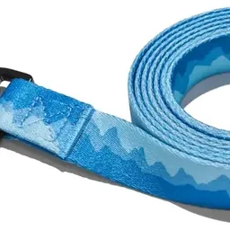 Explorer Dog Mountains L