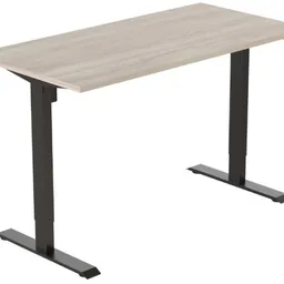 Flexispot ET114 E