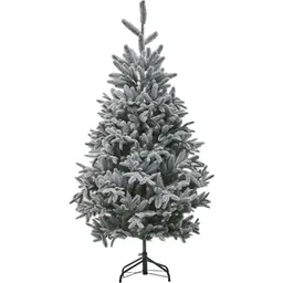 Divi Trees Collection Nordman