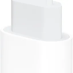 Apple 20W