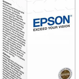 Epson T66434A