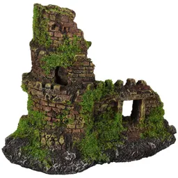 Flamingo Moza Ruin