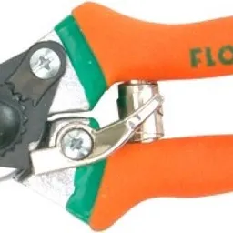 Flo 99203