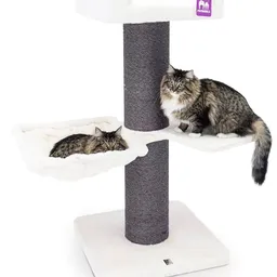 Petrebels Cat Tree Maine Coon 117