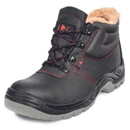 Fridrich & Fridrich Mainz SC-03-002 S1 CI SRC
