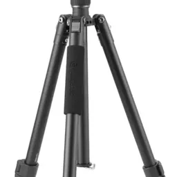 Vanguard Vesta GO 264AV12