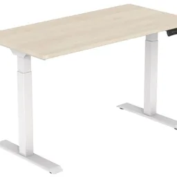 Flexispot ET123