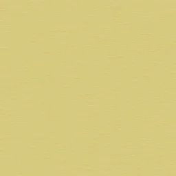 Retrorospective RSB-001-09-1