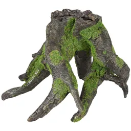 Flamingo Moza Tree Root