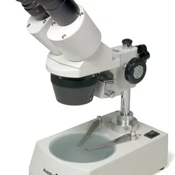 Microscop Levenhuk 3ST