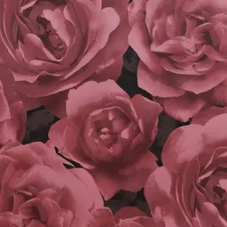 GranDeco Photographic Rose 923021
