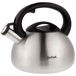 Ceainic Tefal C7921024 Argintiu