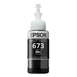 Epson T673