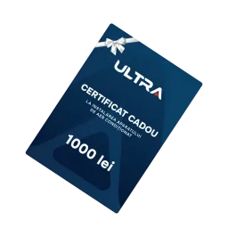 1000 lei
