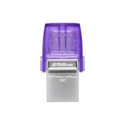 Kingston 256GB DataTraveler microDuo 3C (DTDUO3CG3/256GB)