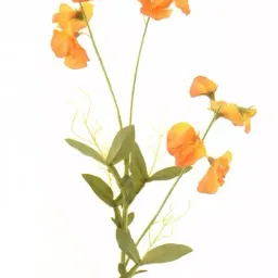 Planta artificiala Mazare flori galbene Casa Masa 75 cm,(L20522/OR)