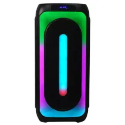 Boxa portabila Eden Party ED-1015, Black (EPS1015-2WM100WBK), Black