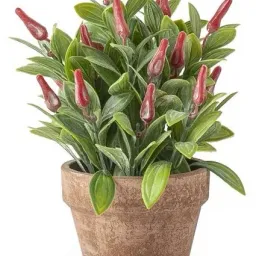 Planta artificiala ardei iute in ghiveci Vicko (402-F-00403)