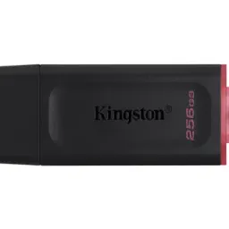 Kingston DataTraveler Exodia DTX (DTX/256GB)