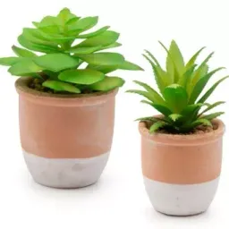 Planta suculenta artificiala in ghiveci Vicko 15 cm,(1466-00021)