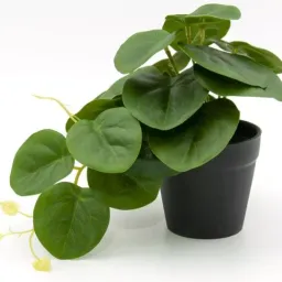 Ghiveci cu planta artificiala Vicko 17.5 cm,(1468-00001)