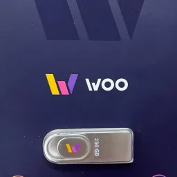 Flash USB 3.2 WOO Chroma 256 GB (WUD32CH256GB)