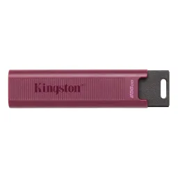 Kingston DataTraveler Max (DTMAXA/256GB)