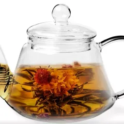 Ceainic p/u infuzie Fissman 9448 0.8l sticla