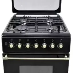 Aragaz Vesta GC-E6060iRBL/NG (plita gaz/cuptor electric)