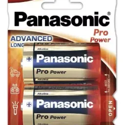 Panasonic LR20XEG/2BP