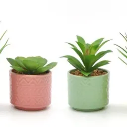 Planta suculenta artificiala in ghiveci Vicko 4 culori,(1468-00008)