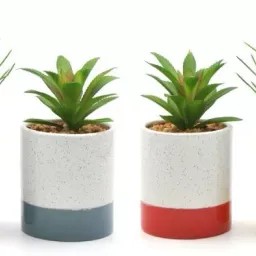 Planta suculenta artificiala in ghiveci Vicko 18 cm 4 culori,(1468-00007)