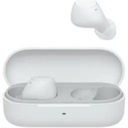 Sony WF-C510W