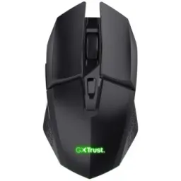 Trust Gaming GXT 110