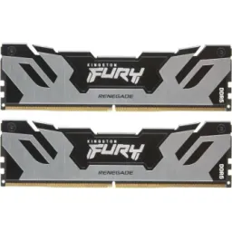 Kingston Fury Renegade Silver