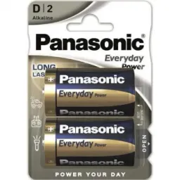 Panasonic LR20REE/2B