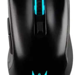 Acer Predator Cestus 333