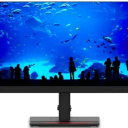 Lenovo ThinkVision T23i-20 Black