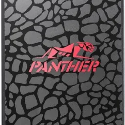 Apacer AS350 Panther 128Gb