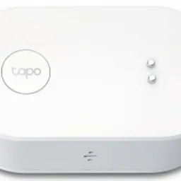 TP-Link Tapo T300