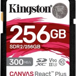 256GB Kingston Canvas React Plus