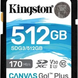 512GB Kingston Canvas Go! Plus