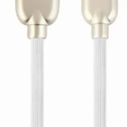 Cablexpert CC-USB2R-AMCM-2M-W