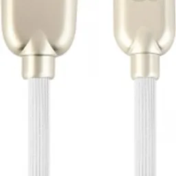 Cablexpert CC-USB2R-AMmBM-1M-W