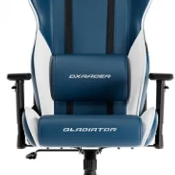 DXRacer Gladiator 23-L-BW-X1